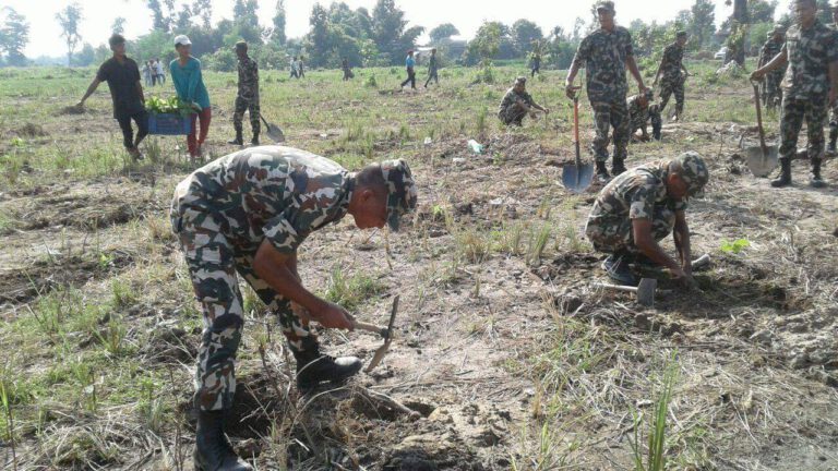 बाराको कोल्हवीमा अतिक्रमित जग्गामा नेपाली सेना द्धारा बृक्षारोपन,