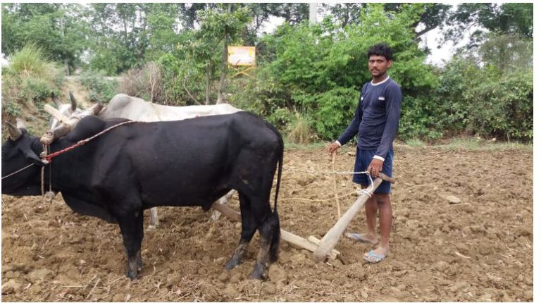 युवा किसानलाई सरकारले २० लाखसम्म अनुदान