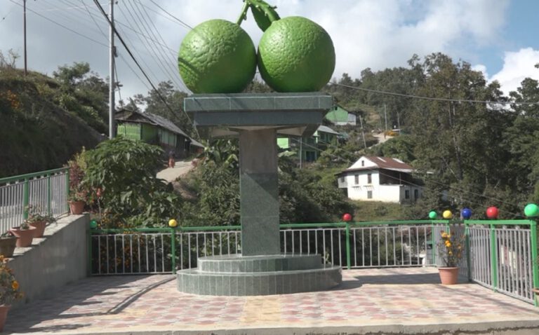 पर्यटन वर्ष २०२० लाई लक्षित गर्दै धनकुटामा दुईवटा पार्क निर्माण