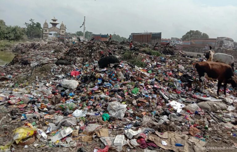 विरगञ्जमा सरसफाई अभियानमा युवाहरु सक्रिय