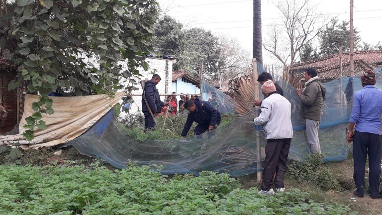 लागू औषध गाजा प्रहरीद्वारा नस्ट