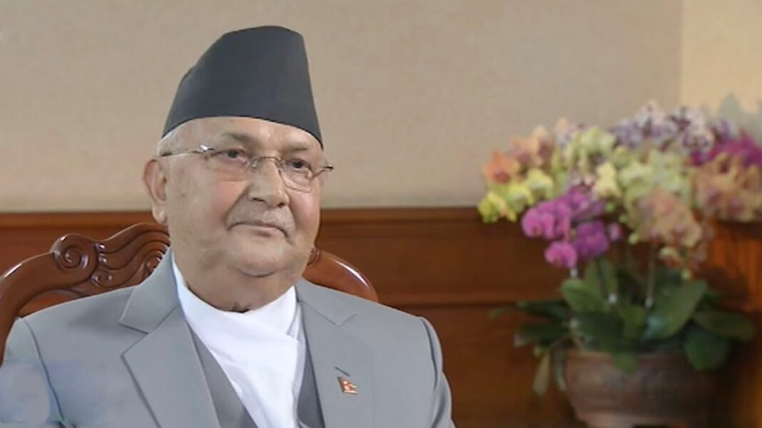 kp oli-41646532