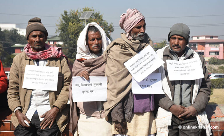 बक्यौता रकम नपाएपछि उखु किसान फेरि आन्दोलनमा