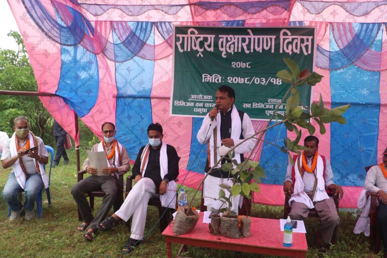 प्रदेशमा साढे १४ लाख विरुवा रोपिदै,  मुख्यमन्त्री  राउतद्वारा शुभारम्भ