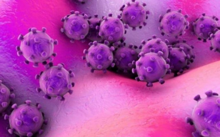 कोरोनाको नयाँ भेरिएन्ट फेला परेपछि नेपालका विभिन्न नाकामा कडाई