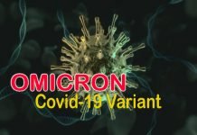 First death in UK from Omicron variant: PM urges booster dose