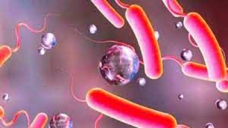 मनसुनजन्य रोगका लागि चाहिने आवश्यक औषधि तयारी अवस्थामा