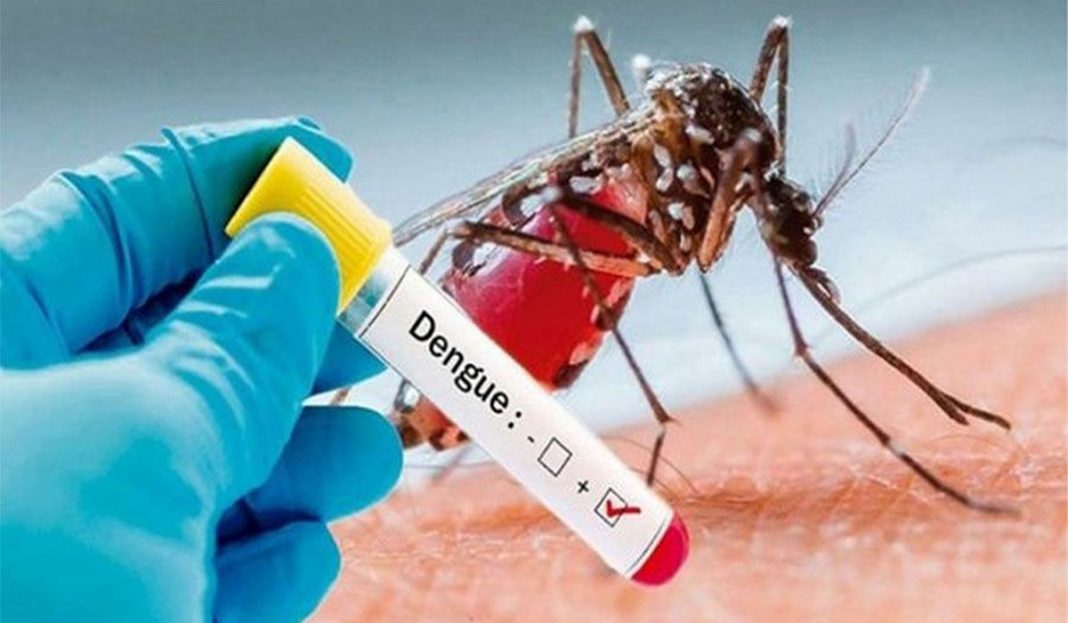 dengue