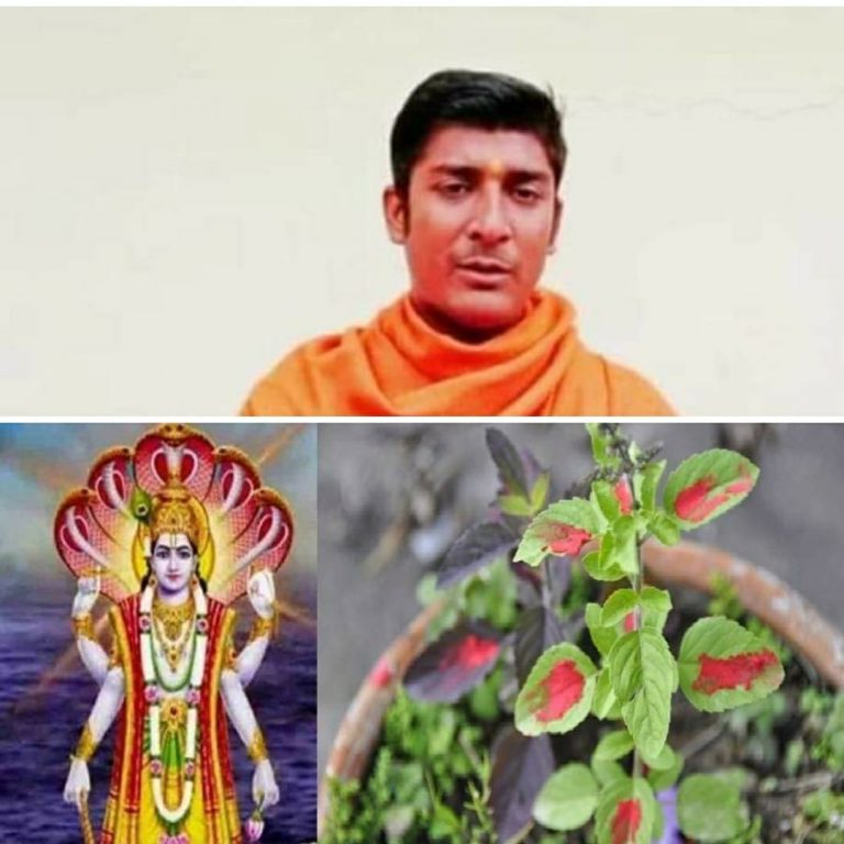 हरिशयनि एकादशीकाे महत्त्व :- कृष्णकान्त झा शास्त्री