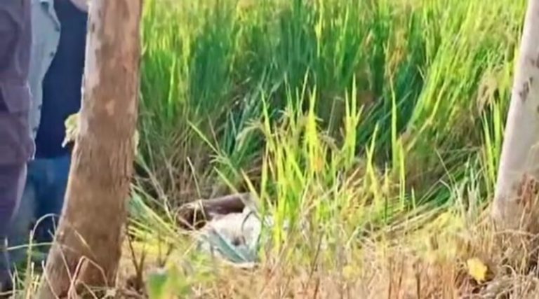 जनकपुरमा एक युवकको शव फेला, हत्याको आशंका