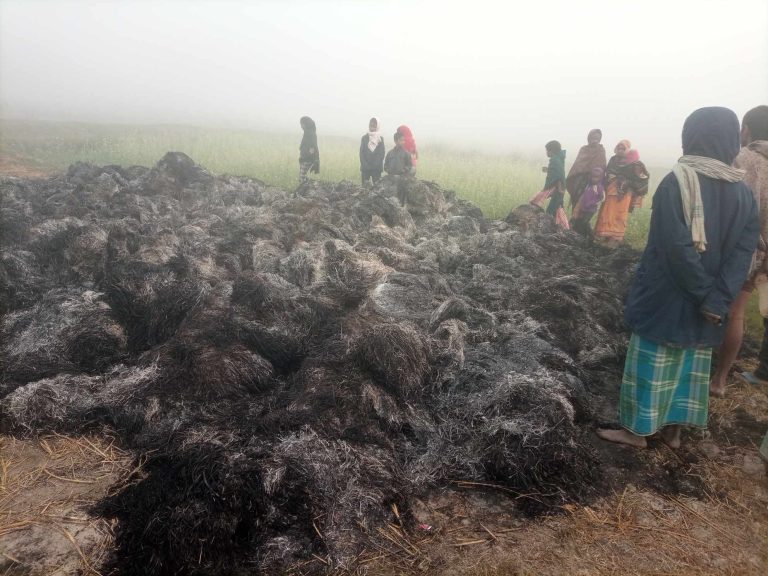रौतहटमा पौने २ विगाहको धानमा अज्ञात समूहले गरे आगजनी