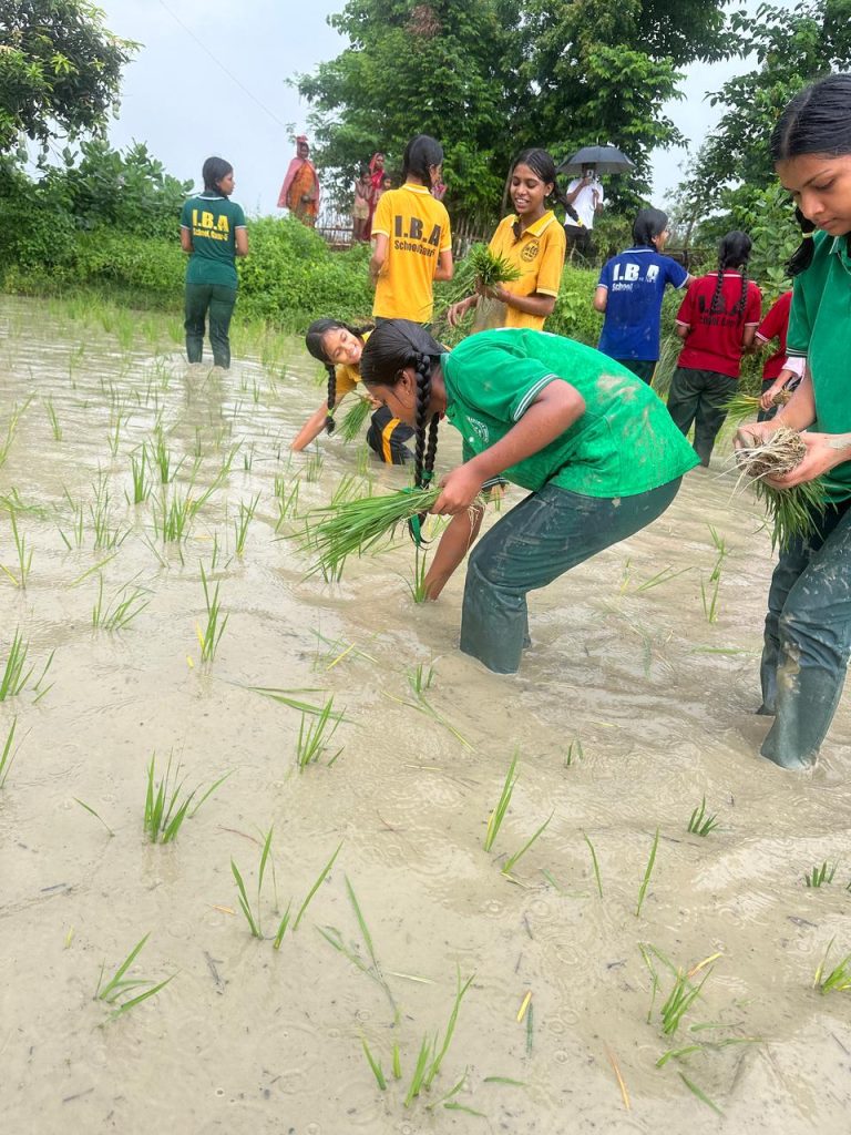 आई बि ए बिधालय का शिक्षक, विद्यार्थी र किसानले मनाए राष्ट्रिय धान दिवस